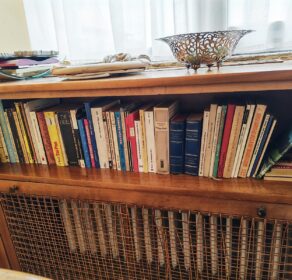 1 Regalebene Bücher WZ